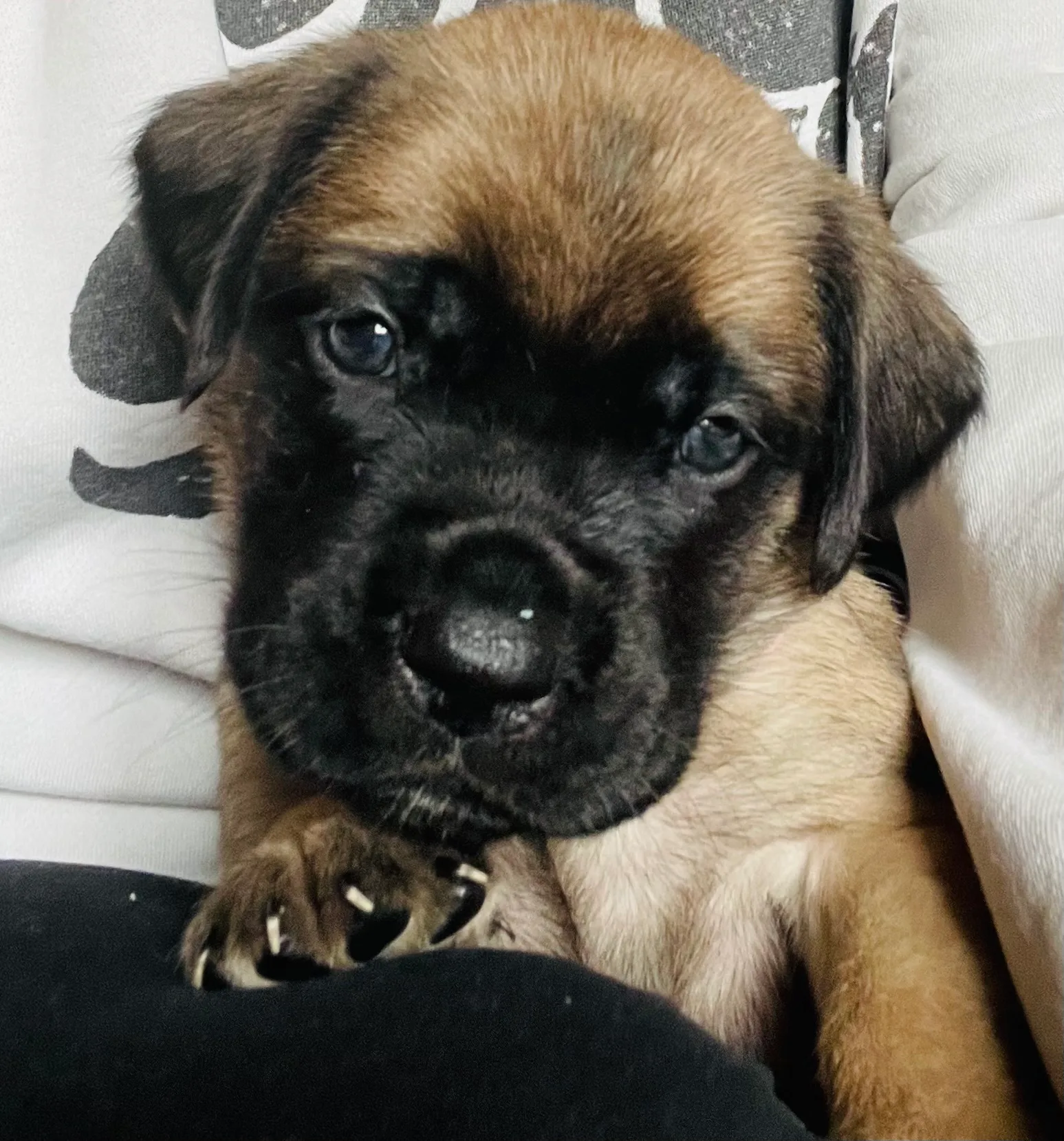 That face.