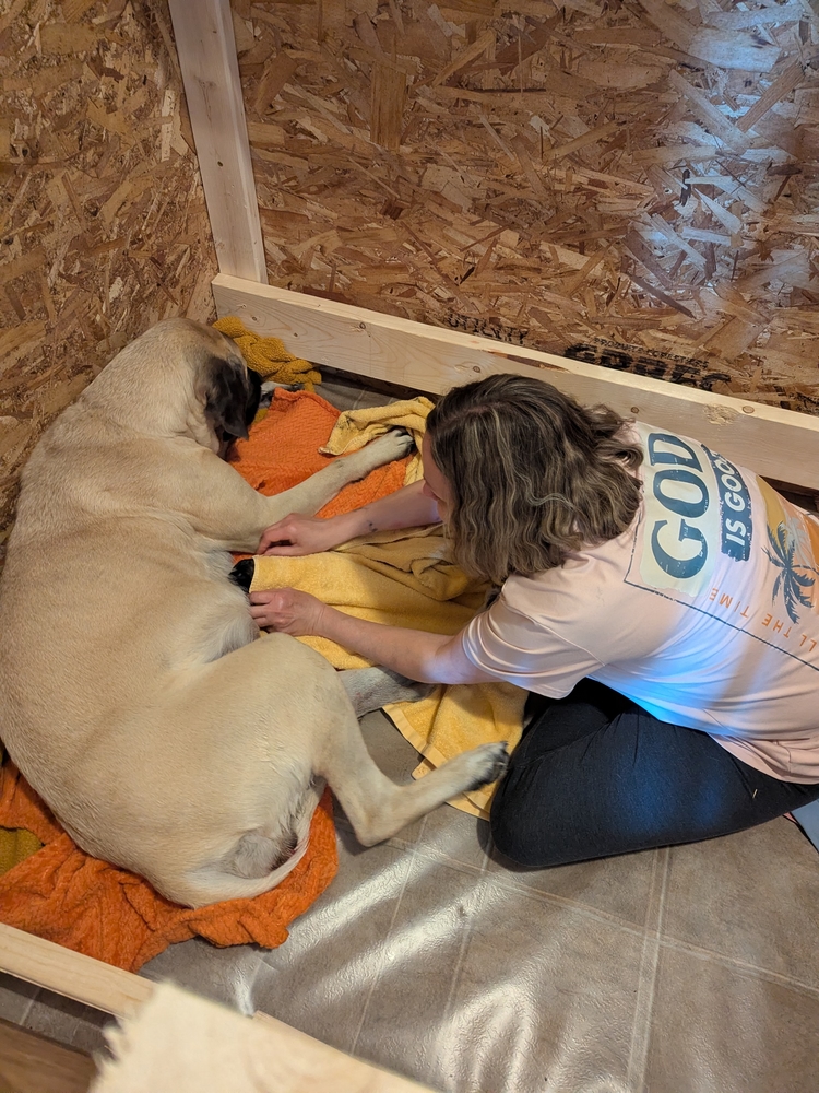 right before — Abby and our girl