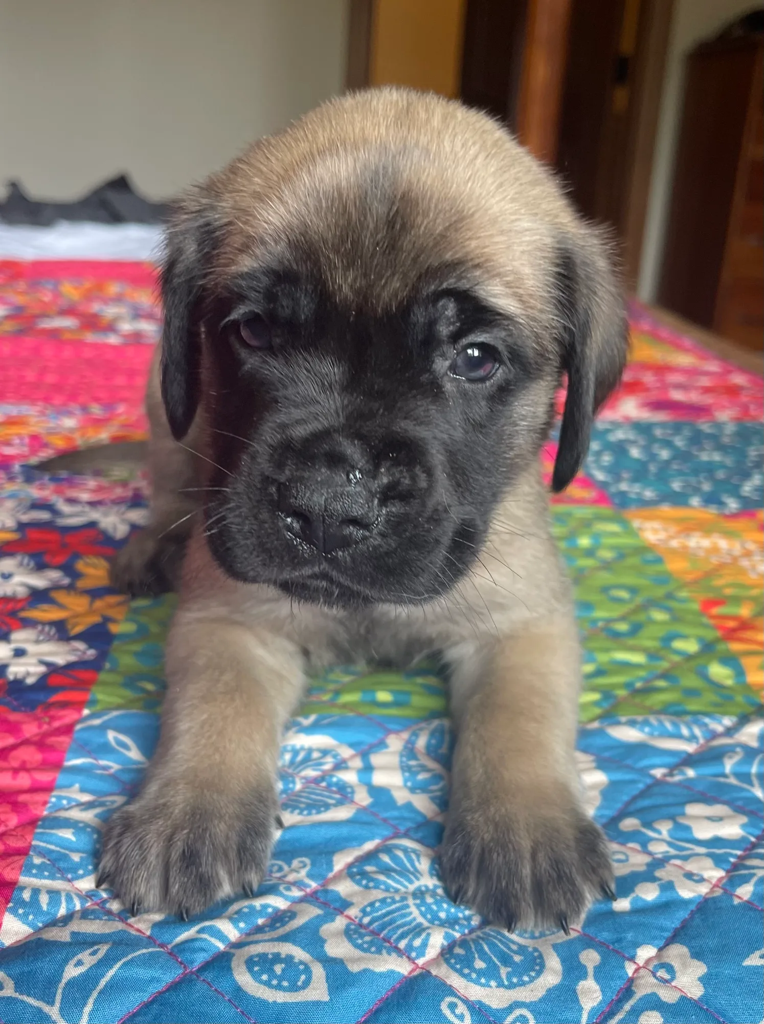Light-blue boy, sitting up for his portrait.