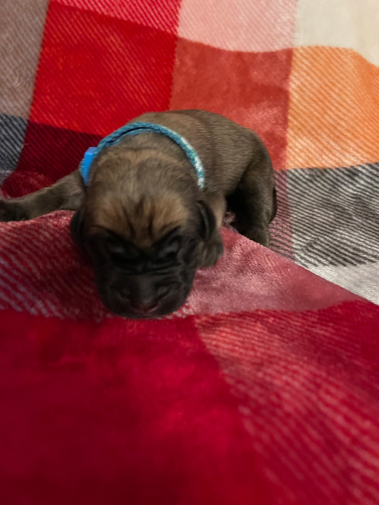 light blue, finding his feet