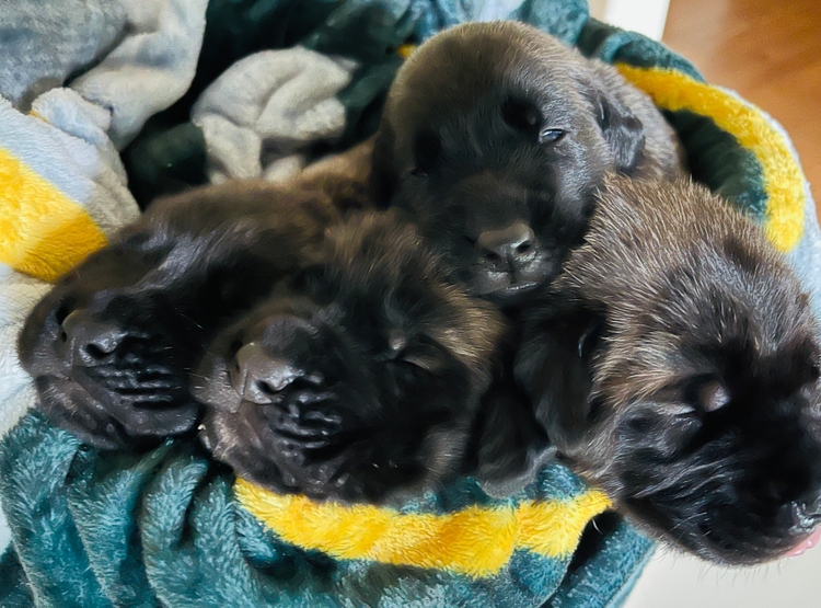 the pile, a little bigger every day