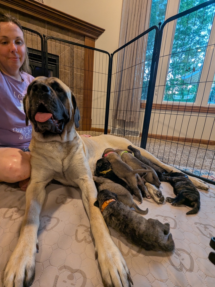 violet and the whole row at dinnertime