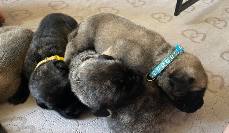 the pile, closer up — yellow and light blue all tangled in