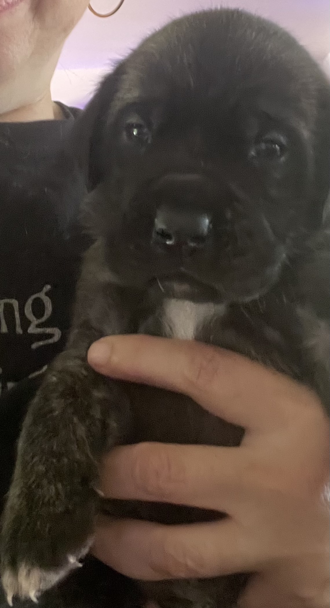 eyes open now — look at that little white chest