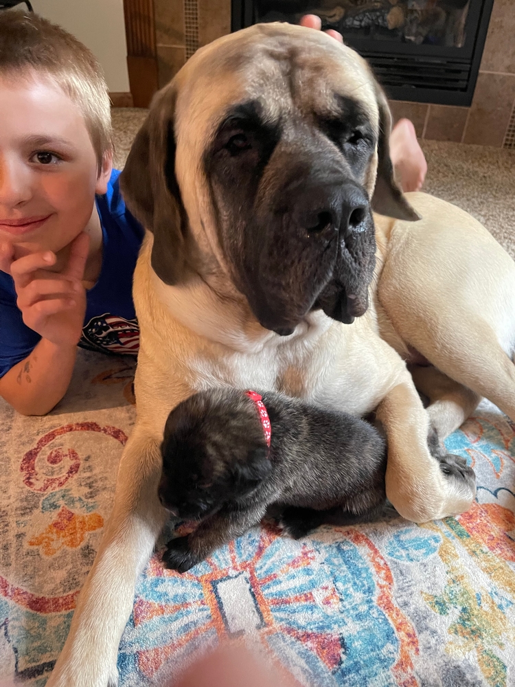 the size of them next to the grown-ups