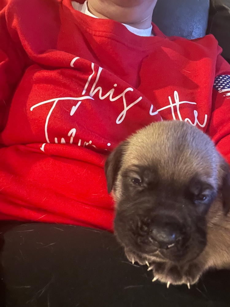 bundled up in the red blanket