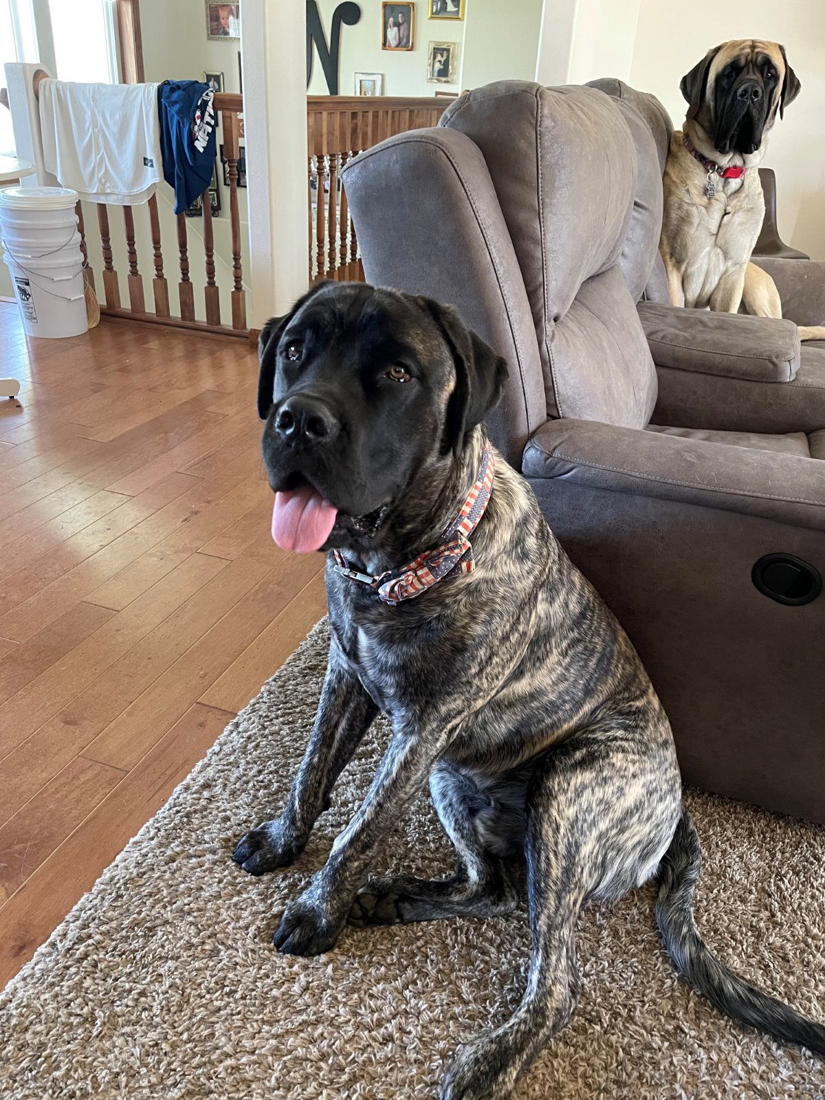 Chief — at home, with his girl