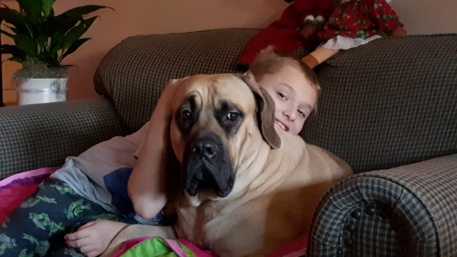 Liberty napping with George on the couch