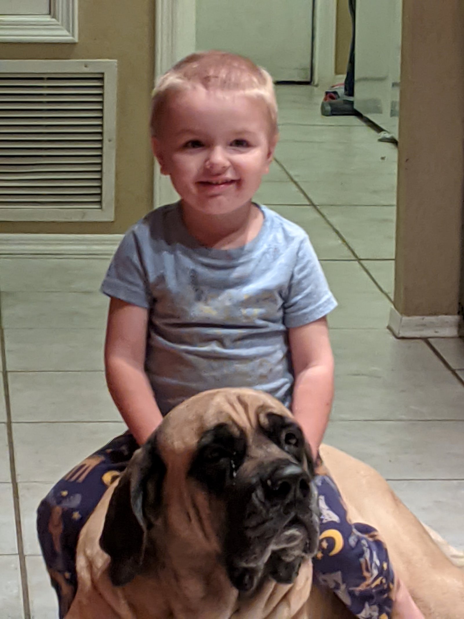 Our toddler perched on Liberty's back